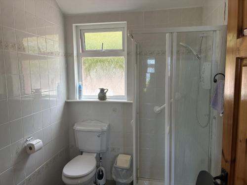 a bathroom with a toilet and a shower with a window at St Ann's Rossbeigh in Glenbeigh