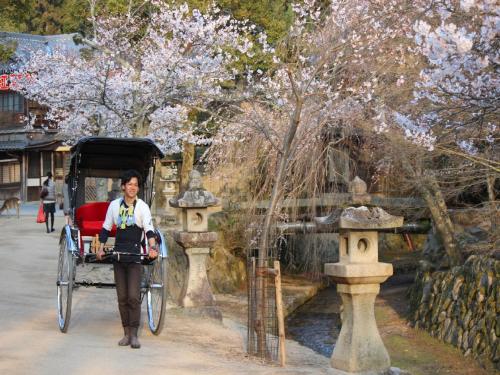 a woman is pulling a horse drawn carriage at Grand Prince Hotel Hiroshima in Hiroshima
