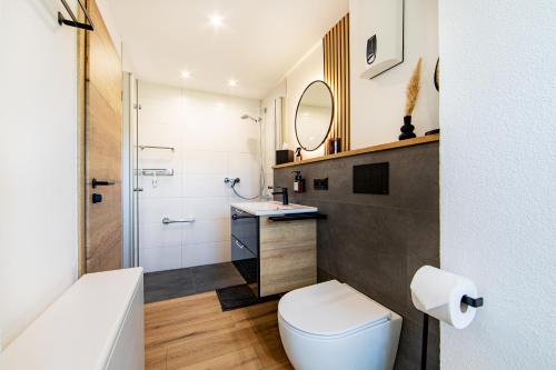 a bathroom with a toilet and a sink and a mirror at Ferienhaus Maarruhe in Schalkenmehren