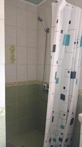 a shower with a shower curtain in a bathroom at Під зорями in Slavske