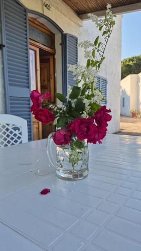 a vase of flowers sitting on a table at La Lamia celeste in Impalata