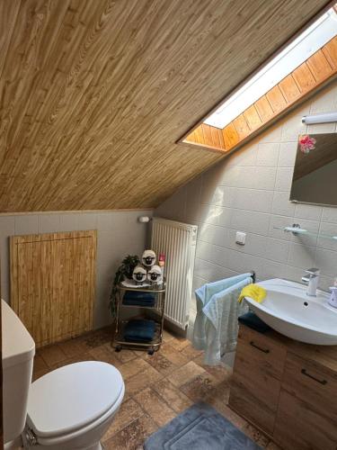 a bathroom with a toilet and a sink and a skylight at Spessartblick in Heimbuchenthal