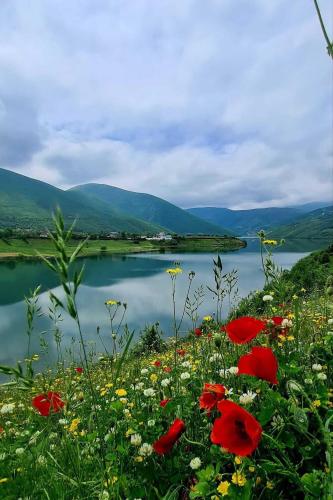 a view of a lake with red flowers at SuperPanorama GuestHouse in Kukës