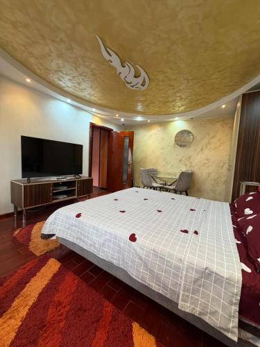 a bedroom with a large bed and a flat screen tv at Apartament MARY in Constanţa