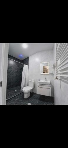 a bathroom with a toilet and a sink and a shower at Nerse's Apartment in Borjomi
