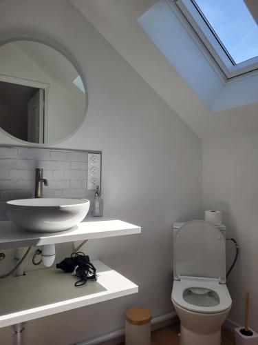 a bathroom with a sink and a mirror and a toilet at petite maison avec jardin in Berck-sur-Mer