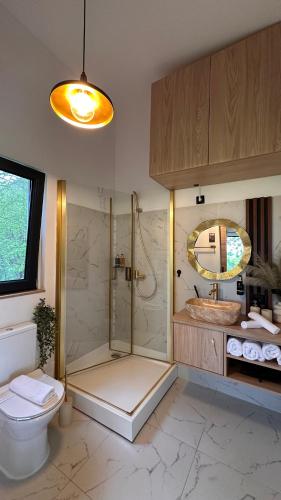 a bathroom with a shower and a toilet and a mirror at Doza de Verde Retreat&Spa Bran-Adults Only in Sohodol