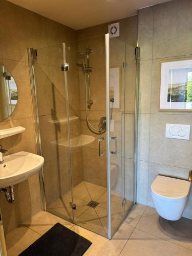 a bathroom with a shower with a toilet and a sink at Modernes Apartment zum wohlfühlen und entspannen, max 4 Personen, Top Ausstattung in Trunkelsberg