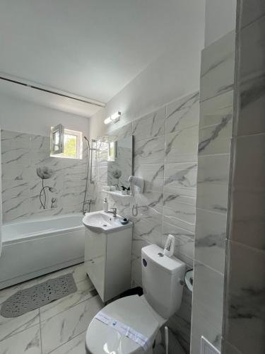 a bathroom with a toilet and a sink and a tub at Casa Bocan in Geoagiu Băi