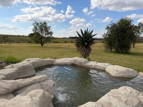 a pond with rocks and a palm tree in a field at Tranquility Campsite in Winterton