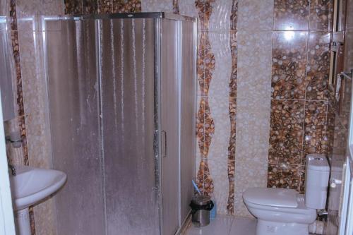 a bathroom with a shower with a toilet and a sink at Villa Abo Ishak in Luxor