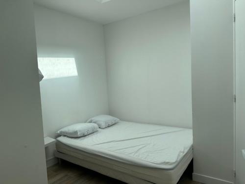 T1 bis Cosy - Puits de Lumière Proche Gare 21m2