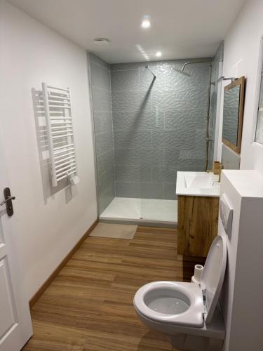 a bathroom with a toilet and a sink and a shower at Le Grimpeur in Achères-la-Forêt