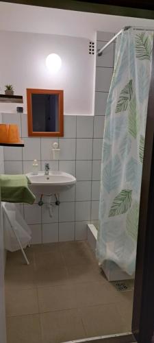 a bathroom with a shower curtain and a sink at Bluebird apartman in Zalakaros