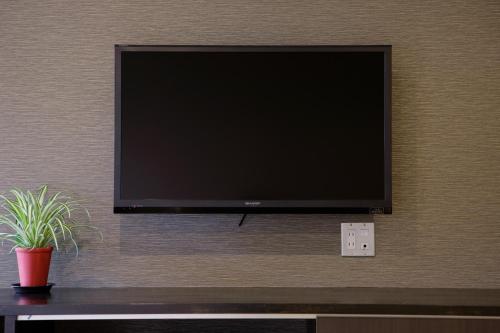 a flat screen tv on a wall with a potted plant at Royal Hotel Kawaguchiko in Fujikawaguchiko