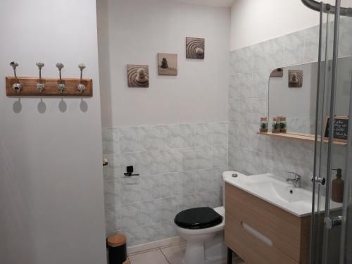 a bathroom with a toilet and a sink at Les Gîtes de La Treille in Montagrier