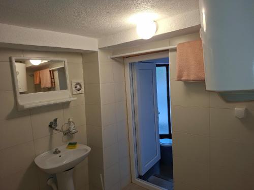 a bathroom with a sink and a toilet and a mirror at Apartman Pavle Virpazar in Virpazar