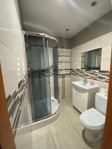 a bathroom with a shower and a toilet and a sink at Noclegi lebudbis in Wąchock