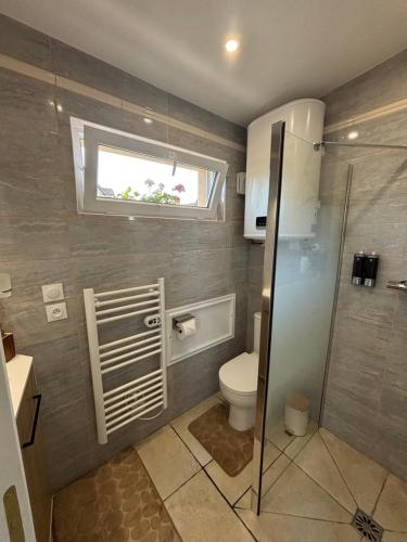 a bathroom with a shower and a toilet and a window at Le Nid d'escale in Tillé
