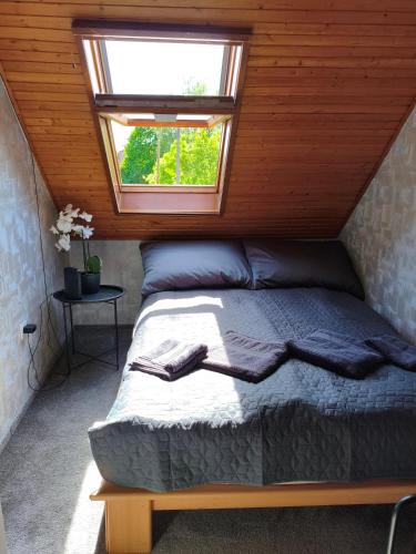 a bed in a room with a window at Miliő Apartman Sarud in Sarud