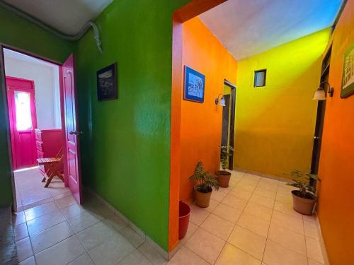 a hallway with colorful walls and potted plants at Posada "Jardin Huasteca Xilitla" in Xilitla