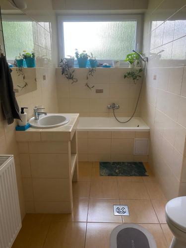 a bathroom with a sink and a toilet and a window at Emese Apartman in Hajdúszoboszló