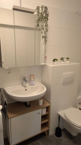a bathroom with a sink and a toilet at 2 Zimmer Ferienwohnung nahe Schweiz in Bad Säckingen