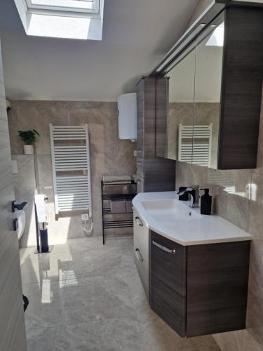 a bathroom with a sink and a mirror at Apartmaji I&E in Sežana