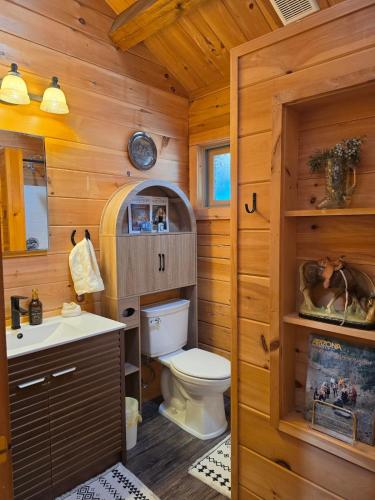 a bathroom with a toilet and a sink at Cozy Forest Cabin with Hot Tub in Central Flagstaff in Flagstaff