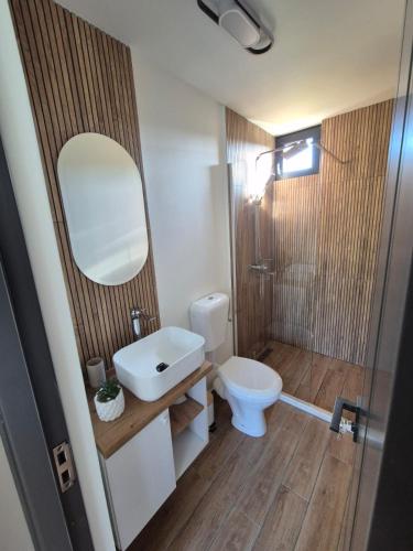 a bathroom with a toilet and a sink and a mirror at Casa LSA in Arefu