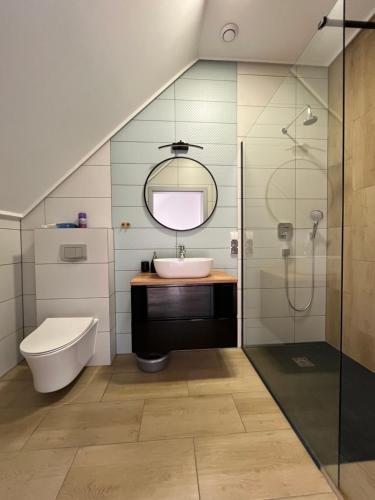 a bathroom with a sink and a toilet and a shower at Agroturystyka Borów - pokoje in Prusice