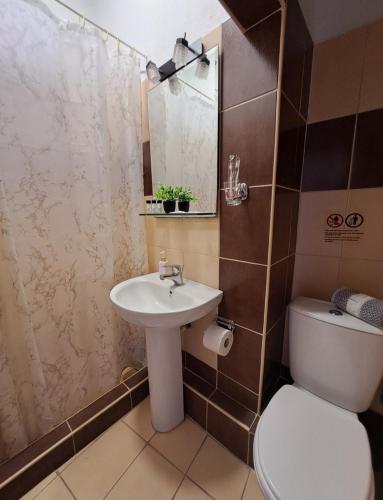 a bathroom with a sink and a toilet and a mirror at House Psichoula in Sarti