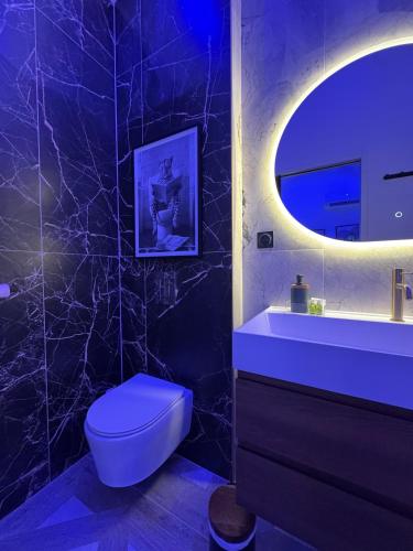 a bathroom with a toilet and a sink and a mirror at Hermitage Spa in Dijon
