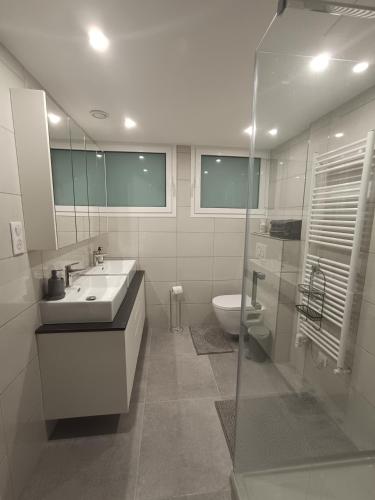 a bathroom with a sink and a toilet at Duplex Residence with Monte Carlo Sea View & 2 Terraces in Roquebrune-Cap-Martin