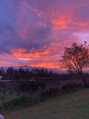 a sunset over a field with a fence and a tree at Quinta Paco de Lucía in Hacienda Santa Rosa