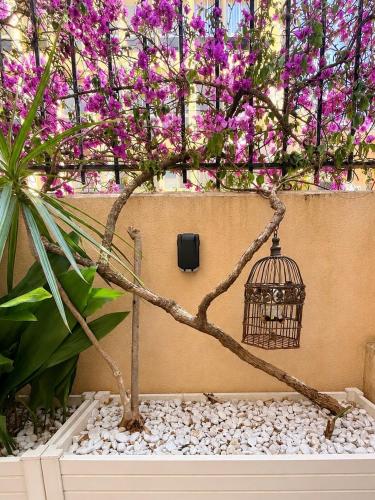 Quiet Private Apartment - 2min Train Station - 5min Palais Croisette - Private entrance photo 17