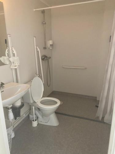 a bathroom with a toilet and a sink at Björklunden in Sollefteå
