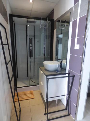 a bathroom with a sink and a glass shower at Gite Spa Zen 2 in Blois
