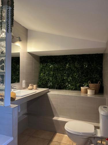 a bathroom with a toilet and a sink at Finca Avrafina in Tarascon