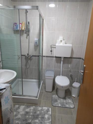 a bathroom with a shower and a toilet and a sink at Bella Verde in Vrnjačka Banja