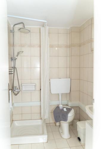 a bathroom with a toilet and a shower at Panagiota Lounge Sea View in Kanali