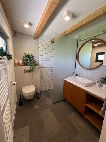 a bathroom with a toilet and a sink and a mirror at Vikend kuća Millina in Sumbulovac