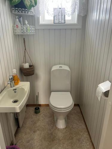 a bathroom with a white toilet and a sink at Huset Heimstad i Herfjord in Skippervik