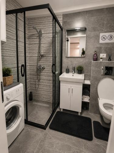 a bathroom with a shower and a toilet and a sink at Apartment Moki in Skopje
