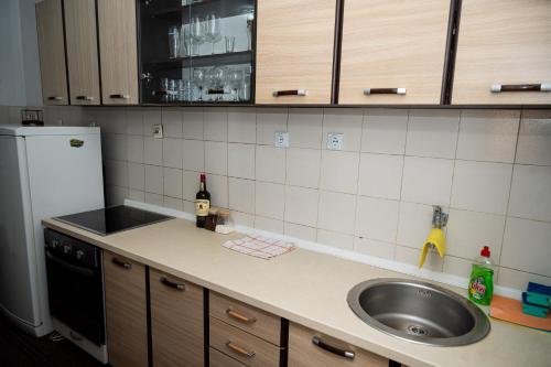 a kitchen with a sink and a refrigerator at Apartment Jasovic in Ulcinj