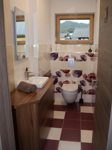 a bathroom with a sink and a toilet at Hiša Kovač in Velesovo