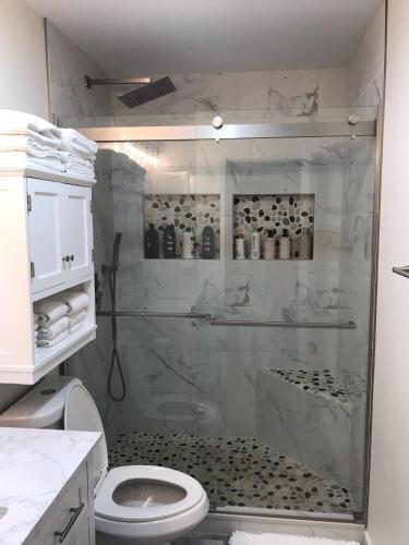 a bathroom with a shower and a toilet at School Village Walk-in shower and jetted tub in Elizabethtown