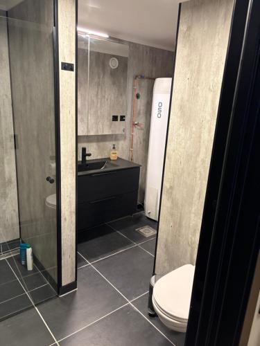 a bathroom with a shower and a toilet and a sink at Wergelandsvegen 40B in Stjoerdal