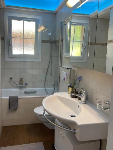 a bathroom with a sink and a toilet and a mirror at Mon Bijou Chalet au Lac Alpin in Thun