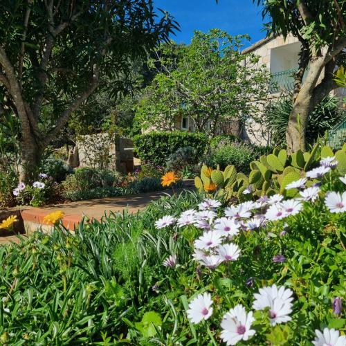 Foto Apartments Basina rated EXCEPTIONAL